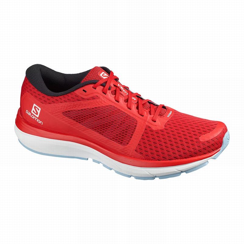 Zapatillas De Running Salomon Hombre Rojas - Salomon Argentina VECTUR ,234518-XQU